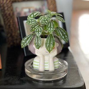 Meet your Posher, Gretys